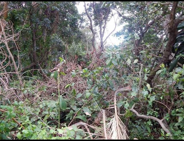 LAND FOR SALE IN GLENMORE